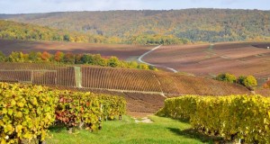 The CAMERON MILLAR 2017 en Champagne – LAST FEW PLACES LEFT!